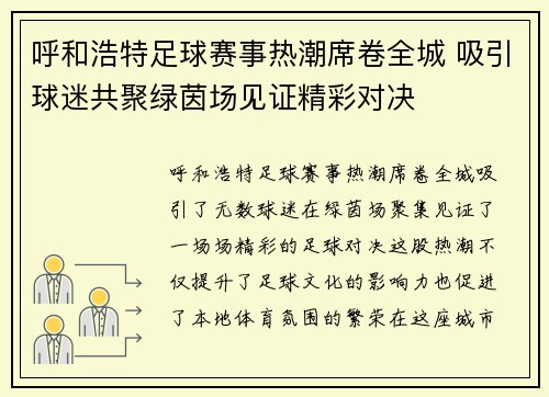 呼和浩特足球赛事热潮席卷全城 吸引球迷共聚绿茵场见证精彩对决