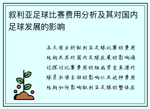 叙利亚足球比赛费用分析及其对国内足球发展的影响