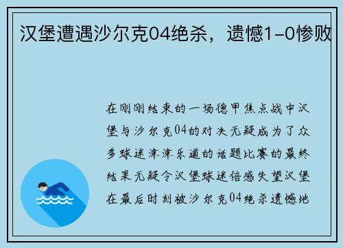 汉堡遭遇沙尔克04绝杀，遗憾1-0惨败